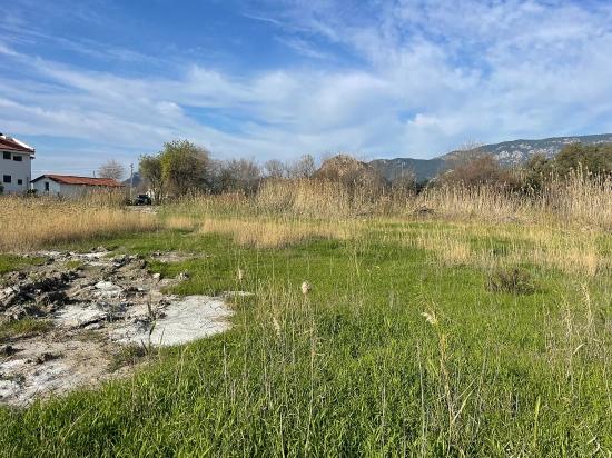 Dalyan'da 6800 M2 %5 Konut İmarlı Satılık Arsa