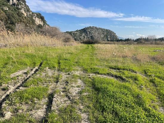 Dalyan'da 6800 M2 %5 Konut İmarlı Satılık Arsa