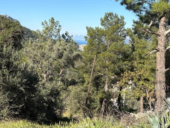 Gökbel'de Köy Yerleşik Alanı İçerisinde Deniz Manzaralı 1000m2 Satılık Arazi