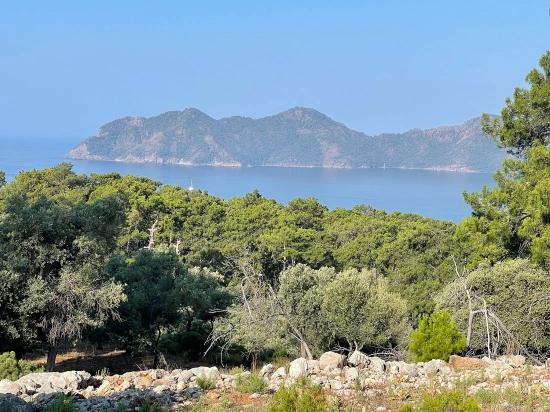 Ekincik Çandır Arasın'da Deniz Manzaralı Kelepir Emlak Satılık Arsa