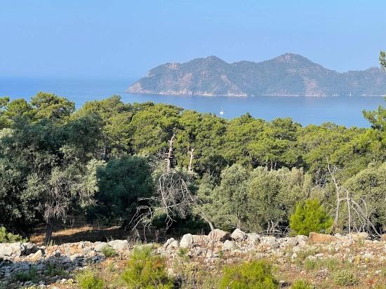 Ekincik Çandır Arasın'da Deniz Manzaralı Kelepir Emlak Satılık Arsa