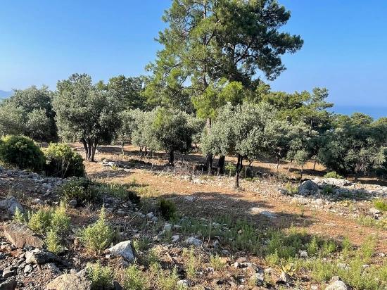Ekincik Çandır Arasın'da Deniz Manzaralı Kelepir Emlak Satılık Arsa
