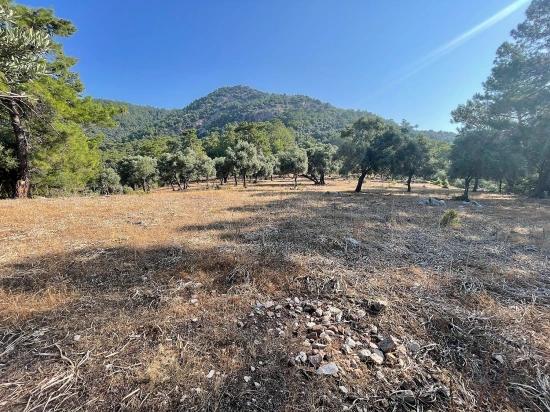 Ekincik Çandır Arasın'da Deniz Manzaralı Kelepir Emlak Satılık Arsa