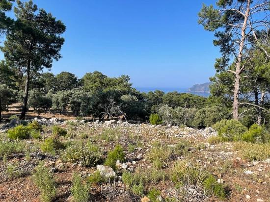 Ekincik Çandır Arasın'da Deniz Manzaralı Kelepir Emlak Satılık Arsa