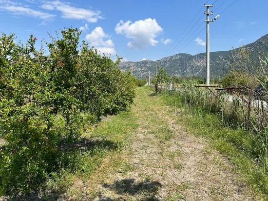 Dalyan Maraş Mevkiinden 5,100m2 %5 Konut İmarlı Satılık Arsa