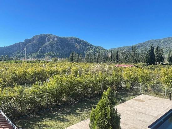 Dalyan Gülpınar'da 6000m2 Arsa İçerisinde 4+2 Satılık Villa