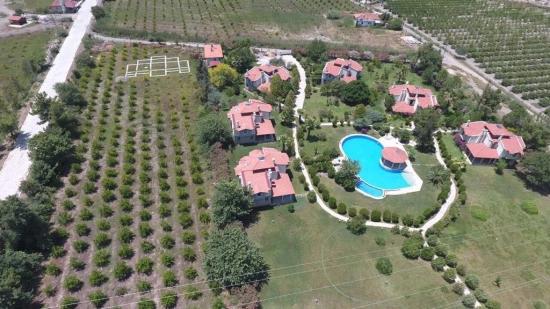 Köyceğiz Çandır'da 6000m2 Satılık Arsa