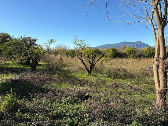 Ekşiliyurt'ta 1085m2 Yerleşik Alan İçerisinde İmarlı Satılık Arsa