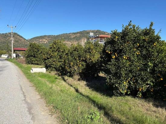 Ekşiliyurt'ta 1085m2 Yerleşik Alan İçerisinde İmarlı Satılık Arsa