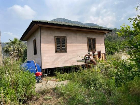 Gökbel'de İztuzu Plajı Yoluna Sıfır 7800m2 Satılık Arazi