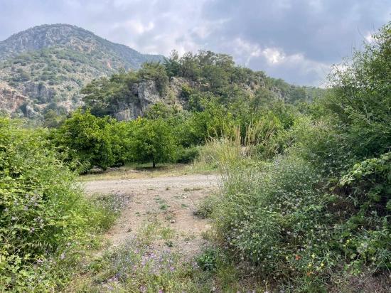 Gökbel'de İztuzu Plajı Yoluna Sıfır 7800m2 Satılık Arazi