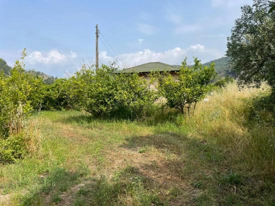 Gökbel'de İztuzu Plajı Yoluna Sıfır 7800m2 Satılık Arazi