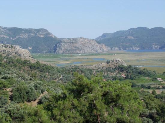 Köyceğiz Çandır'da 19.334m2 Satılık Tarla