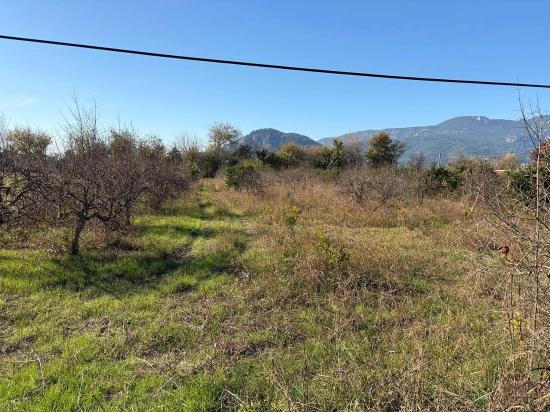 Dalyan'da 4.541m2 Satılık Bahçe