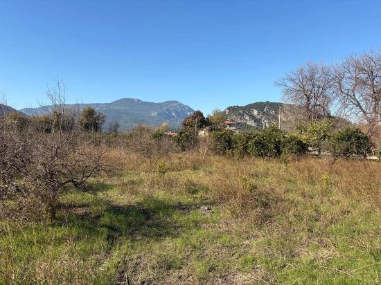 Dalyan'da 4.541m2 Satılık Bahçe