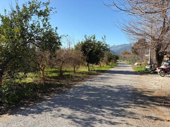 Dalyan'da 4.541m2 Satılık Bahçe