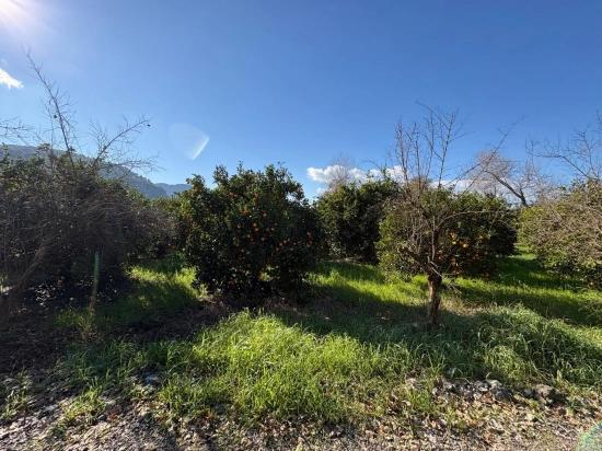 Okçular'da Yerleşik Alanında 4,326m2 Satılık Arsa