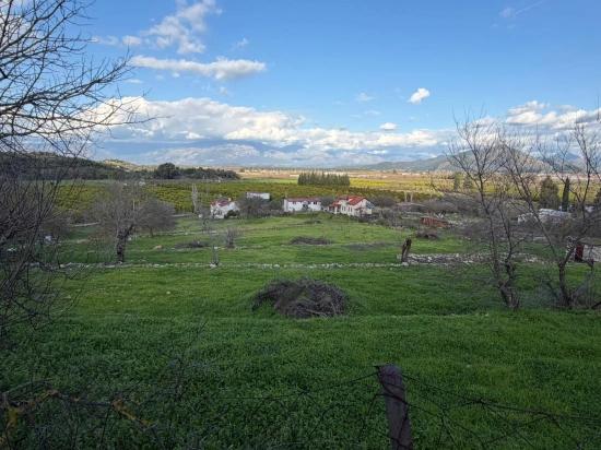 Dalyan'da Göl Manzaralı 11.230m2 Satılık Tarla