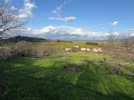 Dalyan'da Göl Manzaralı 11.230m2 Satılık Tarla