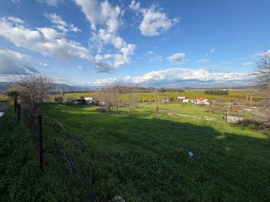 Dalyan'da Göl Manzaralı 11.230m2 Satılık Tarla