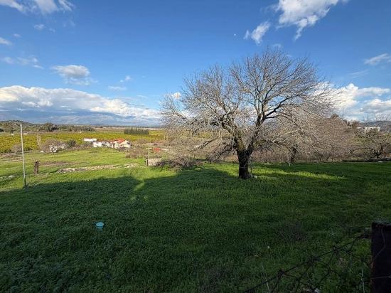 Dalyan'da Göl Manzaralı 11.230m2 Satılık Tarla