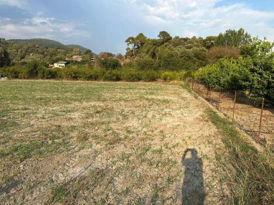 Çandır'da Köy Yerleşik Alanı İçerisinde Rızai-taksimli 1160m2 Satılık Arsa