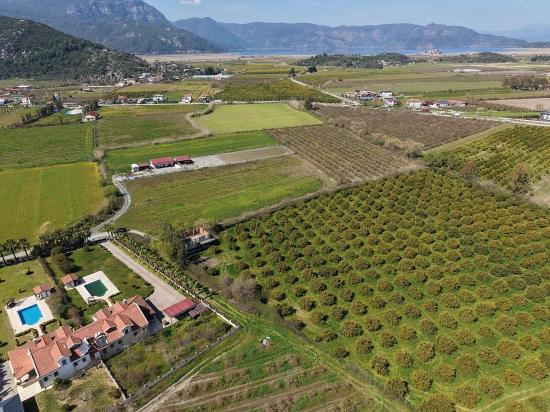 Dalyan Merkeze Yakın 17.550m2 Satılık Bağ-bahçe