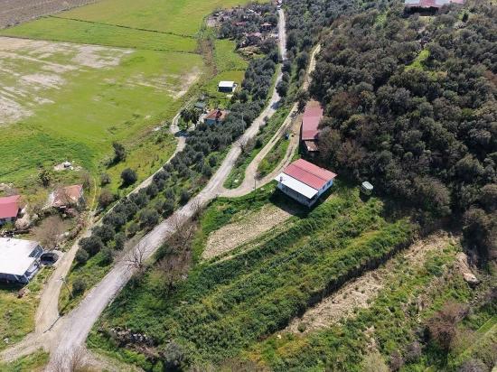 Eskiköy'de Göl Manzaralı 16.710m2 Satılık Nar Bahçesi