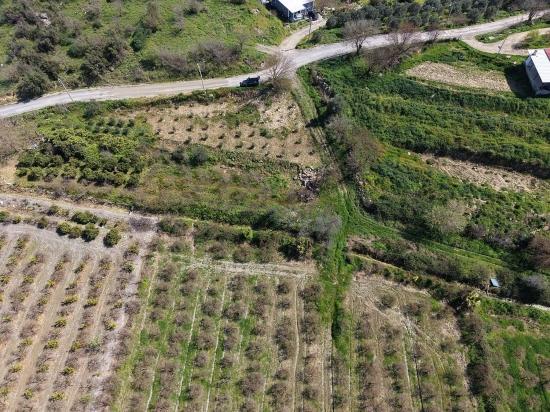 Eskiköy'de Göl Manzaralı 16.710m2 Satılık Nar Bahçesi