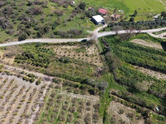 Eskiköy'de Göl Manzaralı 16.710m2 Satılık Nar Bahçesi