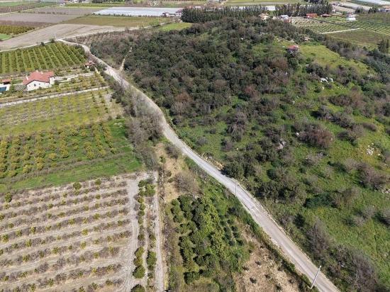Eskiköy'de Göl Manzaralı 16.710m2 Satılık Nar Bahçesi