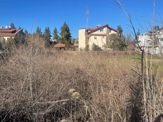 Dalyan Gülpınar Köşebaşı Satılık 1000m2 Arsa