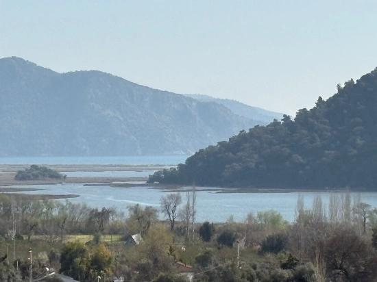 Köyceğiz Çandır Köyü'de Hisseli Rızai Taksimli 2.023m2 Satılık Tarla