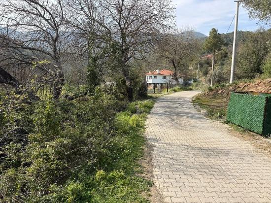 Köyceğiz Çandır Köyü'de Hisseli Rızai Taksimli 2.023m2 Satılık Tarla