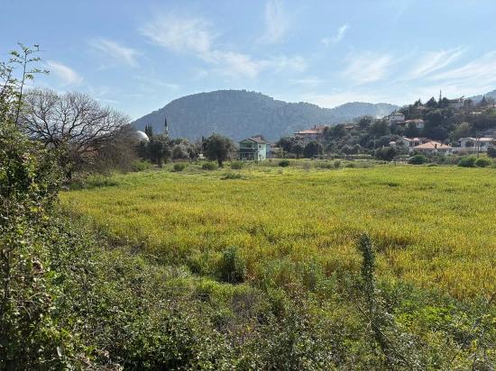 Köyceğiz Çandır Köyü'de Hisseli Rızai Taksimli 2.023m2 Satılık Tarla