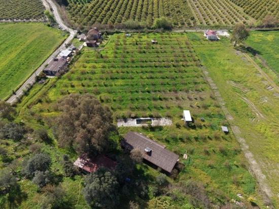Eskiköy'de 11,000m2 Arsa İçinde Turizm Amaçlı İşletme Satılık