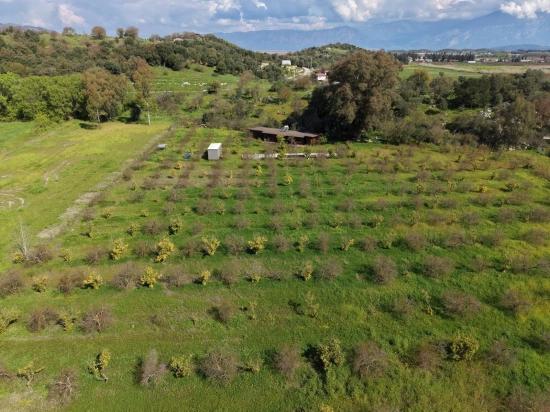 Eskiköy'de 11,000m2 Arsa İçinde Turizm Amaçlı İşletme Satılık