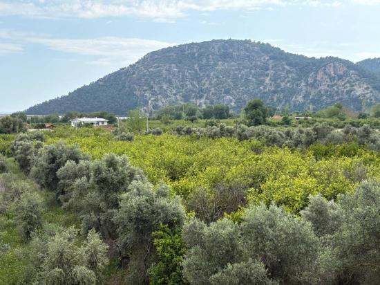 Çandır'da Deniz Ve Göl Manzaralı 1.721m2 Satılık Tarla