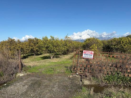 Tepearası'nda 23000m2 Müstakil Satılık Tarla