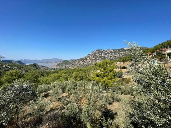 Gökbel'de Full Deniz Manzaralı 3514m2 Satılık Arsa