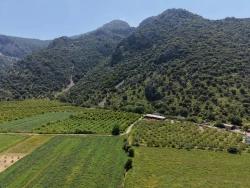 Ortaca Dalyan Mah. Satılık Tarla - Tarla İmar Durumlu - 5.100 m²