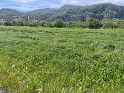 Ortaca Okçular Mah. Satılık Arsa - Konut İmar Durumlu - 736 m²