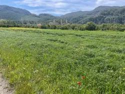 Ortaca Okçular Mah. Satılık Arsa - Konut İmar Durumlu - 736 m²