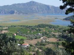 Köyceğiz Çandır Mah. Satılık Tarla - Tarla İmar Durumlu - 19.334 m²