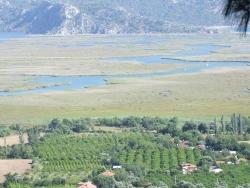 Köyceğiz Çandır Mah. Satılık Tarla - Tarla İmar Durumlu - 19.334 m²