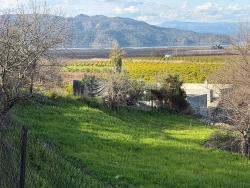 Ortaca Dalyan Mah. Satılık Tarla - Tarla İmar Durumlu - 11.230 m²