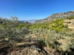 Ortaca Gökbel Mah. Satılık Arsa - Konut İmar Durumlu - 3.514 m²