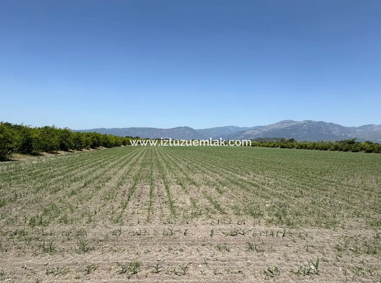 Tepearası'nda 46,550M2 Satılık Tarla