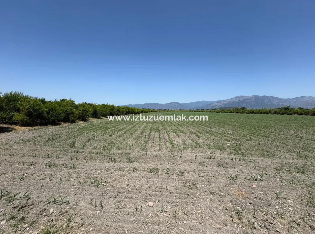 Tepearası'nda 46,550M2 Satılık Tarla