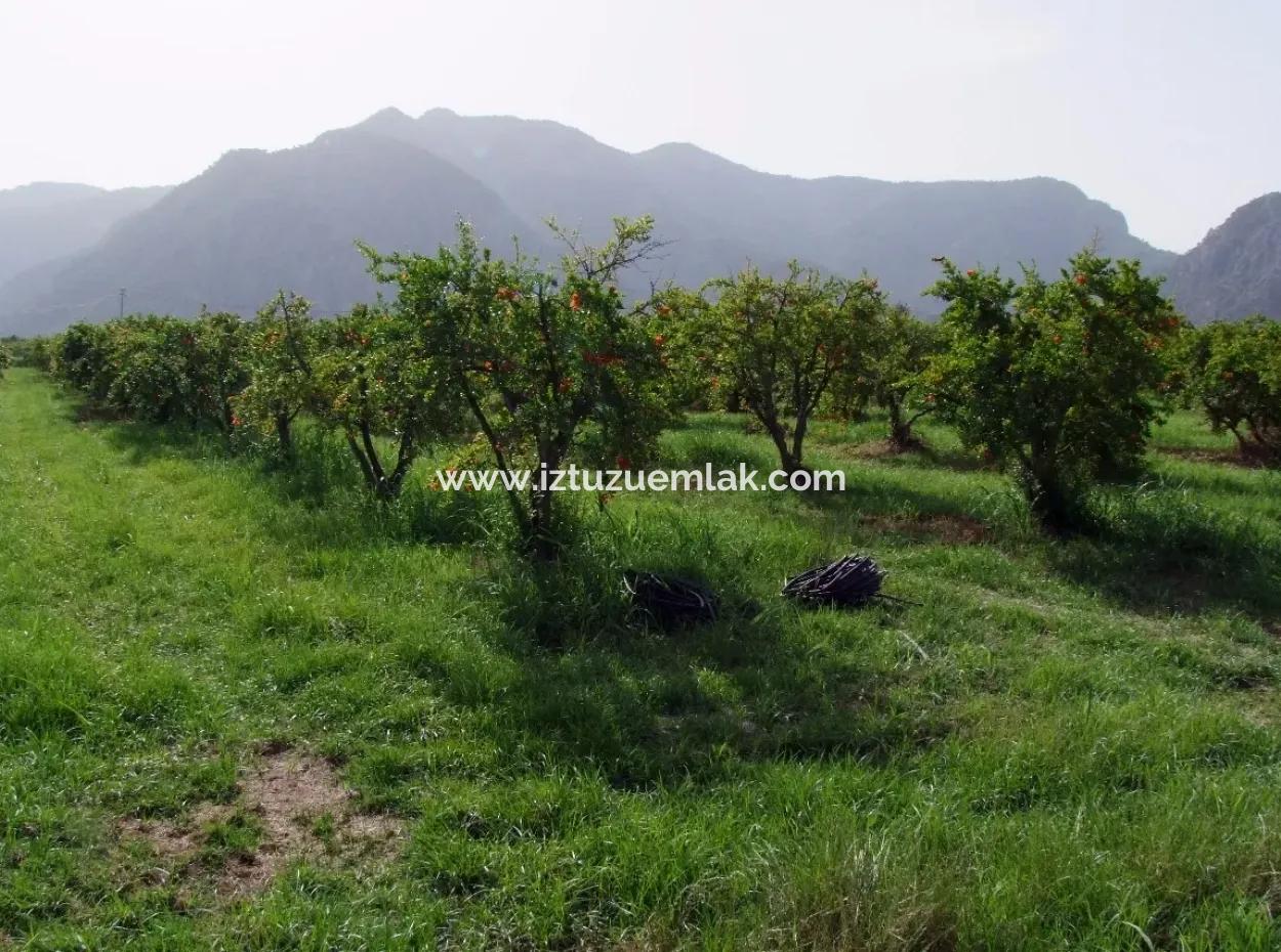 Dalyan İztuzu Satılık Bahçe Dalyan Göle Sıfır Satılık Arsa
